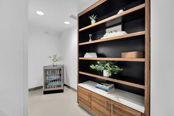 Shelves with decor